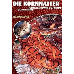 Die Kornnatter: Pantherophis guttatus