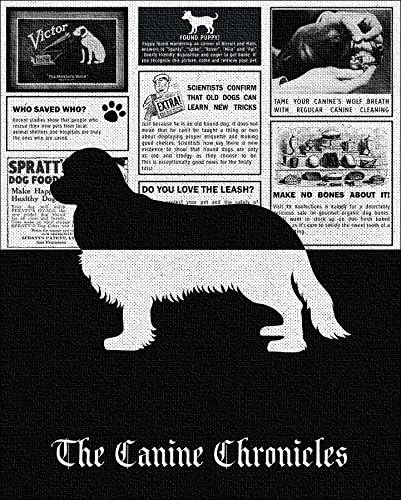 16x20 Custom Canvas Cavalier King Dog Breed Canine Chronicles Newspaper Ads Personalized Dog Breed Art Print