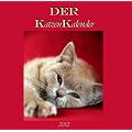 DER Katzen Kalender 2012: Jede Woche ein Katzenmotiv, edles Quadrat-Format