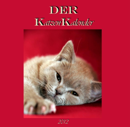edition cumulus DER Katzen Kalender 2012: Jede Woche ein Katzenmotiv, edles Quadrat-Format