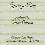 Sponge Boy