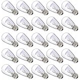 Deneve DNV-200-10110 11 Watt Outdoor Replacement Bulbs for E26 & E27 Sockets, 25 Pack