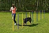Eigenschaften Karlie  / KARLIE AGILITY Slalom-Set 24-teilig #31855