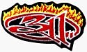 311 - Flaming Logo- Embroidered Iron On or Sew On Patch (Three Eleven)