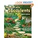 Designing with Succulents