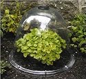 Bell Cloches Pack of 3 Medium