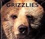 Grizzlies (Naturebooks: Carnivores)