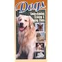 Dogs - Understanding, Training & Loving Them [VHS]