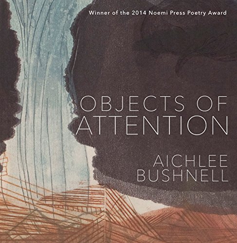 Objects of Attention, by Aichlee Bushnell