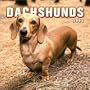 Dachshunds 2004 Mini Calendar