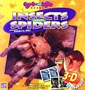 Insects and Spiders (Eye to Eye)