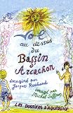 Vol au-dessus du Bassin dArcachon
