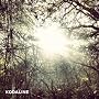 All I Want <a href="http://www.amazon.de/All-I-Want/dp/artist-redirect/B00938LG9Y">Kodaline</a><span class="byLinePipe"> | </span><span class="byLinePipe">Format:</span> MP3-Download