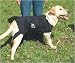Pet Supplies : The Anxiety Wrap - Medium