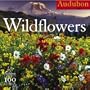 Audubon Wildflowers Calendar 2007