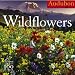 Audubon Wildflowers Calendar 2007