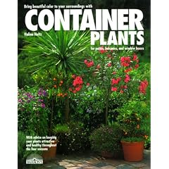 Container Plants