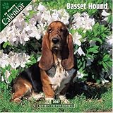 Basset Hound 2007 Wall Calendar