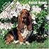 Basset Hound 2007 Wall Calendar
