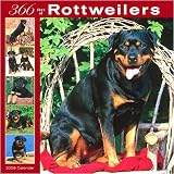 366 Days of Rottweilers 2008 Wall Calendar