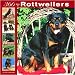   - 366 Days of Rottweilers 2008 Wall Calendar