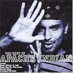 The Best of Apache Indian