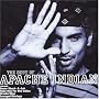 The Best of Apache Indian