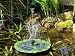 Chelsea Solar Lily Fountain - Green