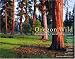 Oregon Wild: Endangered Forest Wilderness