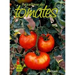 La culture des tomates