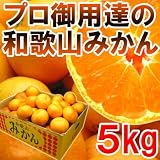 �y���������P�X�W�O�~�z�v����p�B���󂠂�a�̎R�݂���Tkg