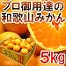 【送料無料1980円】プロ御用達☆訳あり和歌山みかん5kg