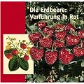 Die Erdbeere: Verf�hrung in Rot: Kulturgeschichte einer Frucht aus den Vierlanden