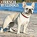 2016 Just French Bulldogs Wall Calendar