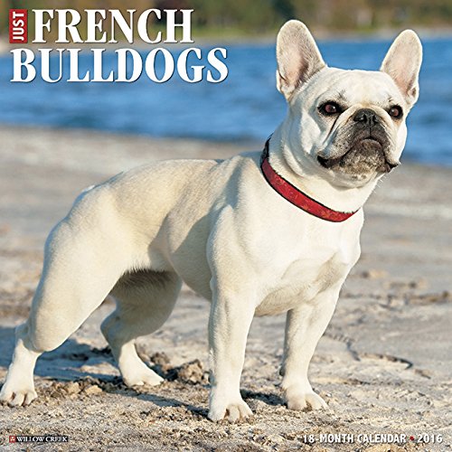 2016 Just French Bulldogs Wall Calendar