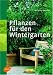 Pflanzen für den Wintergarten