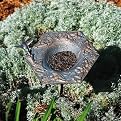 Hummingbird Garden Bird Feeder
