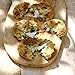 River Cottage Love Your Leftovers: Recipes for the resourceful cook
