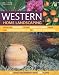 Western Home Landscaping