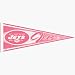 6 New York Jets Pink NFL Wholesale Team Pennants