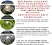 The Down and Dirty How To Earn Extra Money, Inner Game and Accounting & Finance for Great Home Business Opportunities Biz 3 CD Package