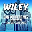 Can You Hear Me? (ayayaya) (ft. Skepta, JME & Ms D)