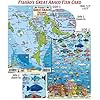 Great Abaco Island (Bahamas) Dive Map & Reef Creatures Guide - Laminated ID Card
