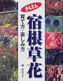 かんたん宿根草花―育て方・楽しみ方
