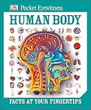 Human body