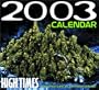High Times 2003 Calendar