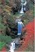 Search : Japan's Jigsaw Puzzle "Shinja Waterfall Autum Colors" 1000 Pieces