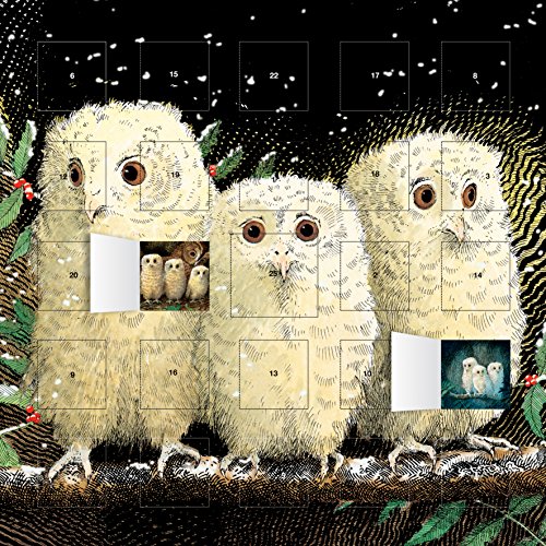Owl Babies Advent Calendar (with Stickers)