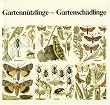 Willi Votteler - Gartennützlinge - Gartenschädlinge
