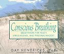 Conscious Breathing: Breathwork for Health, Stress Release, and Personal Mastery